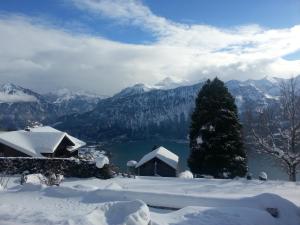 hotel sterne