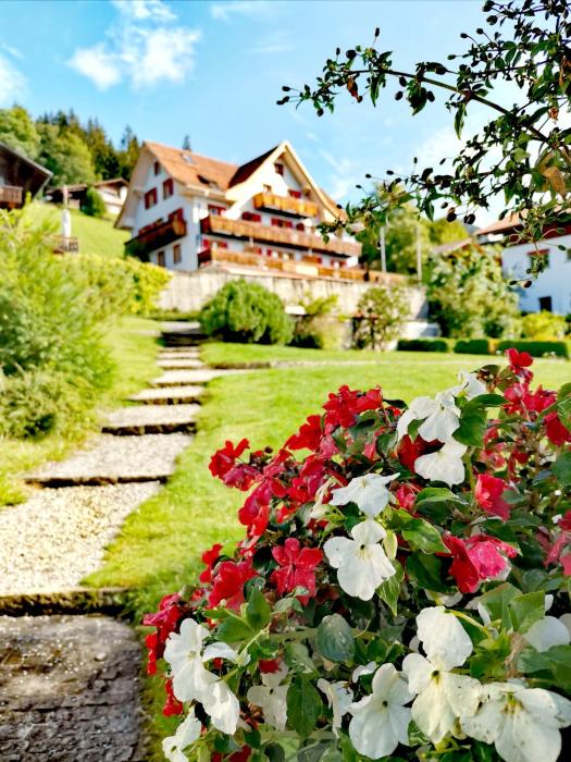 hotel sterne