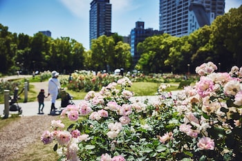 voco osaka central an ihg hotel