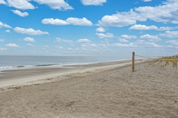 oak island