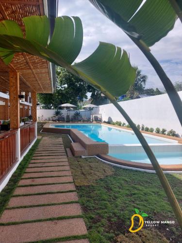 yellow mango resort bohol