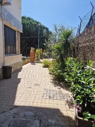 althea etna garden