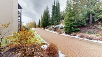 whistler