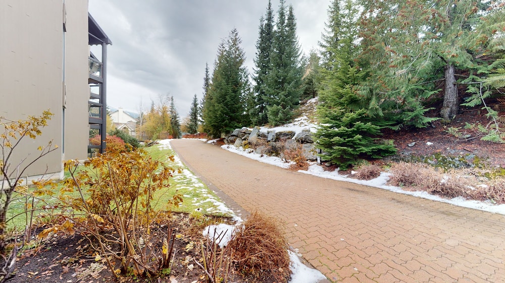 whistler