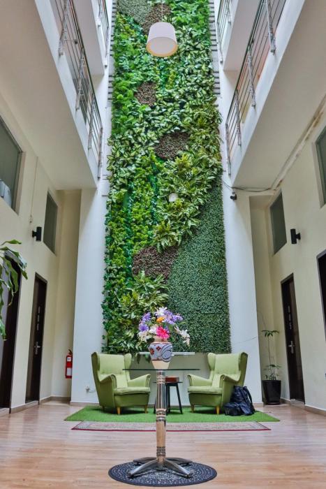 the mesui hotel