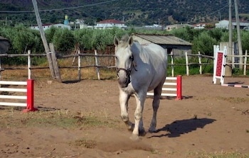 cariati