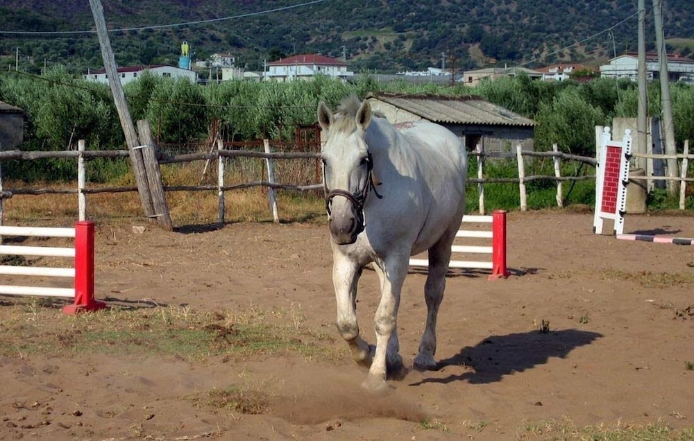 cariati