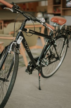 gran hotel concordia irapuato