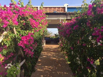 la maison bleue lome
