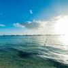 playa coral condo in paradise f22