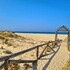 barbate