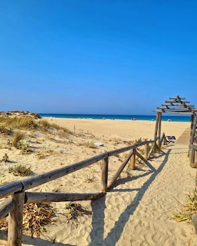 barbate