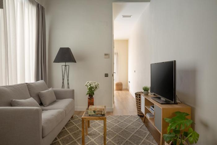aqua apartments malaga