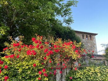 hotel mas carreras 1846