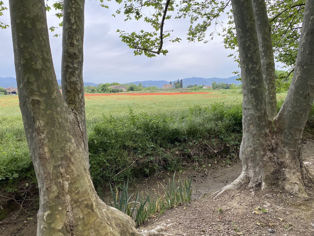 hotel mas carreras 1846