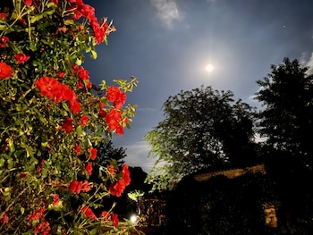 Hotel Mas Carreras 1846,Costa Brava>>Bordils,3 star