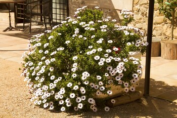 hotel mas carreras 1846