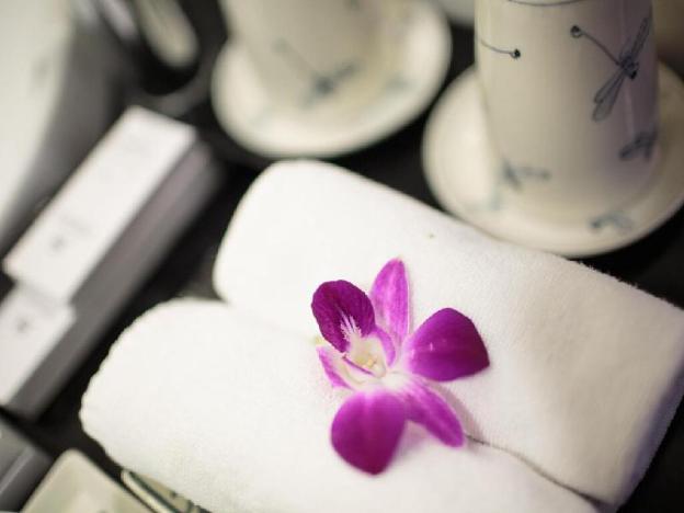 hanoi sena hotel and travel