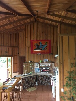 birds and breakfast