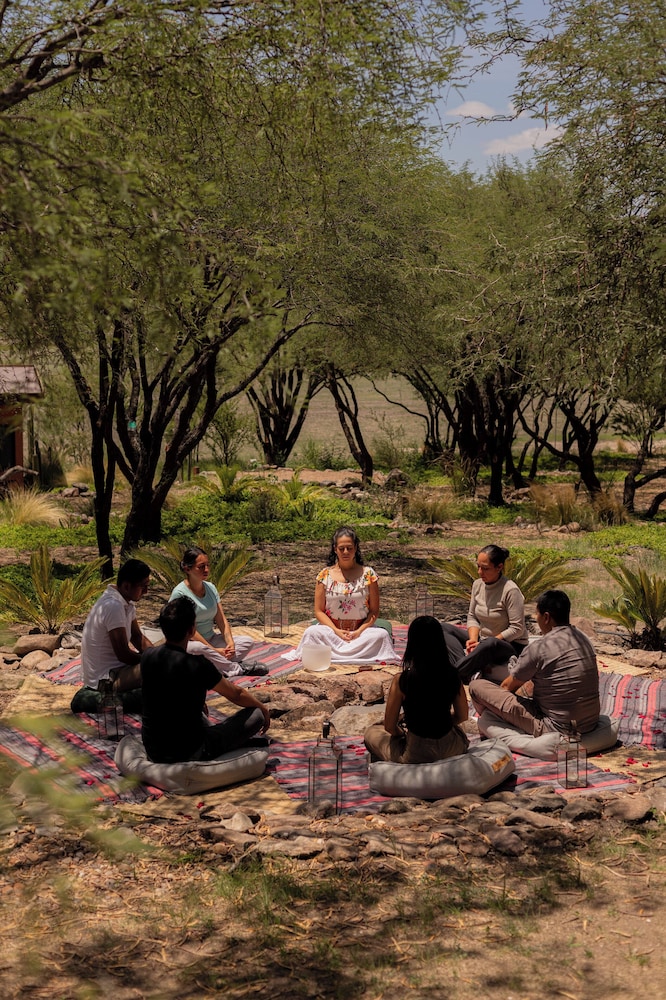 our habitas san miguel de allende