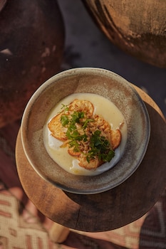 our habitas san miguel de allende