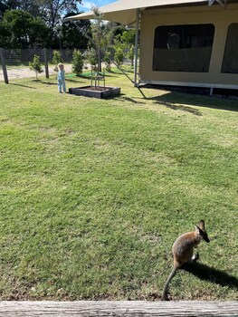 crowdy bay eco resort