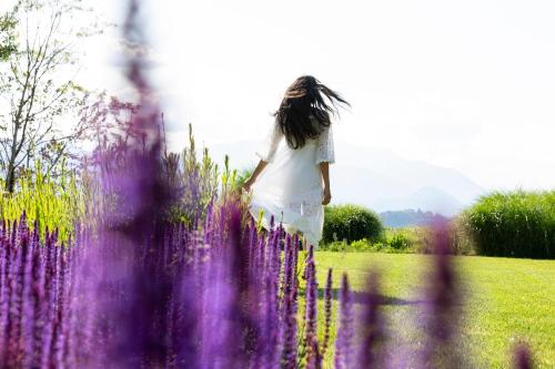 laveno mombello