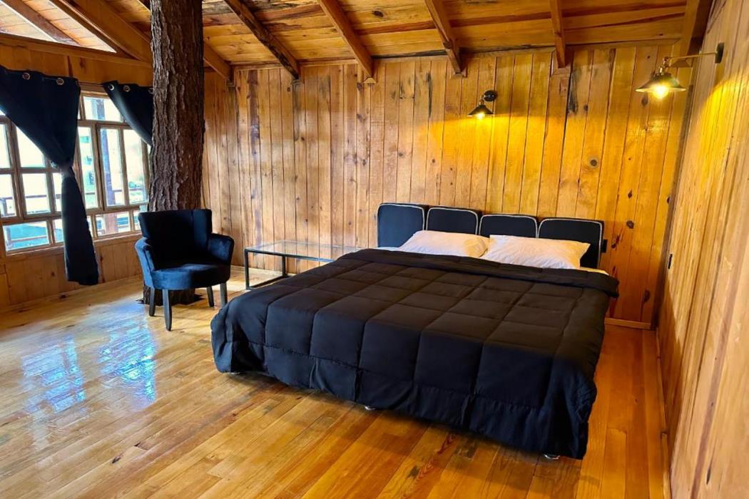 pine tree mazamitla hotel boutique and cabanas