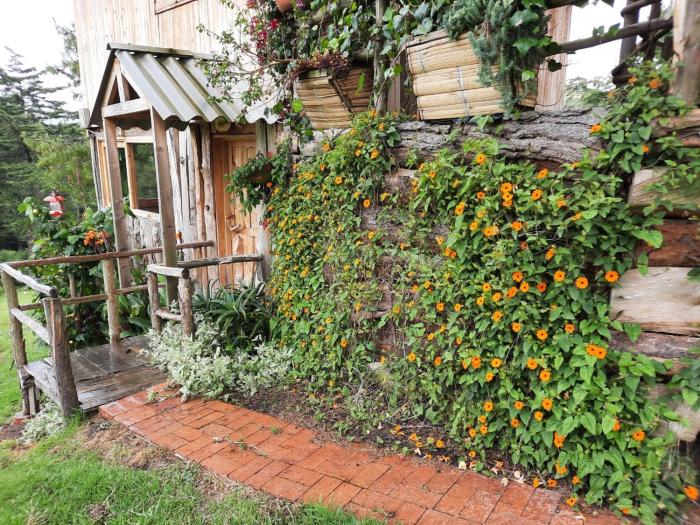 casa mujer villa agueda hostel