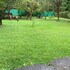 san lorenzo
