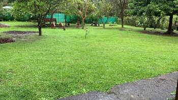san lorenzo