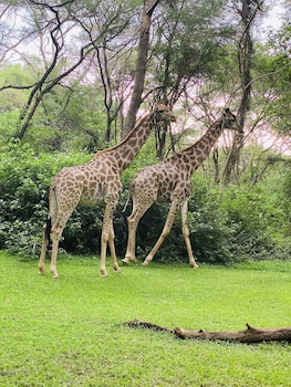 sakae paradise resort