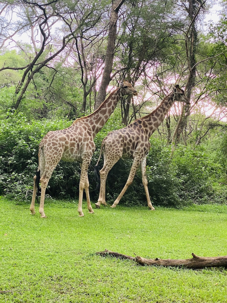 sakae paradise resort