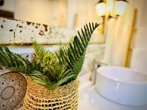 sakae paradise resort