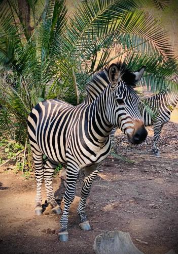 sakae paradise resort