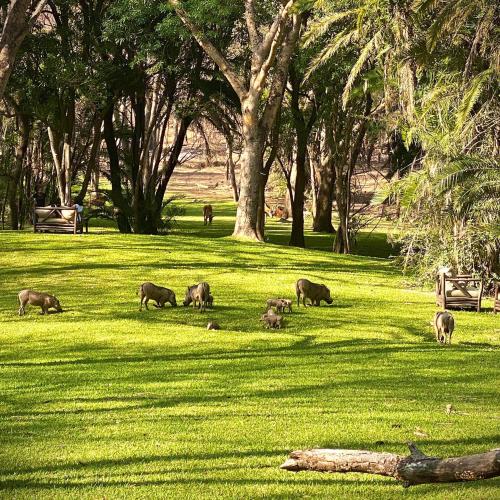 sakae paradise resort