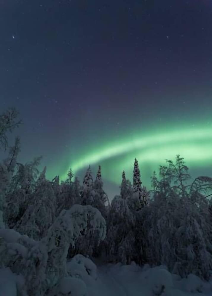 yllasjarven tunturihotelli