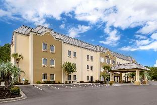 comfort suites