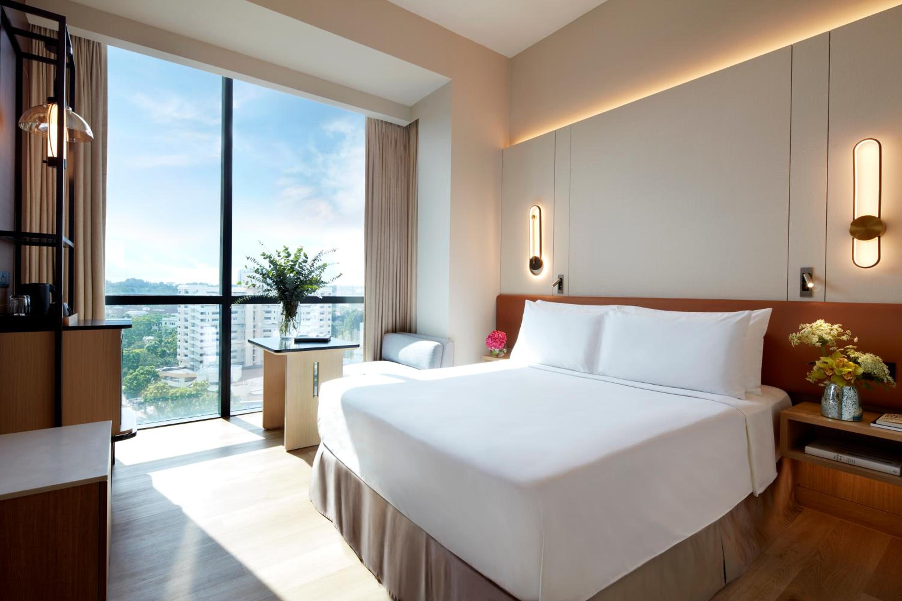 momentus hotel alexandra