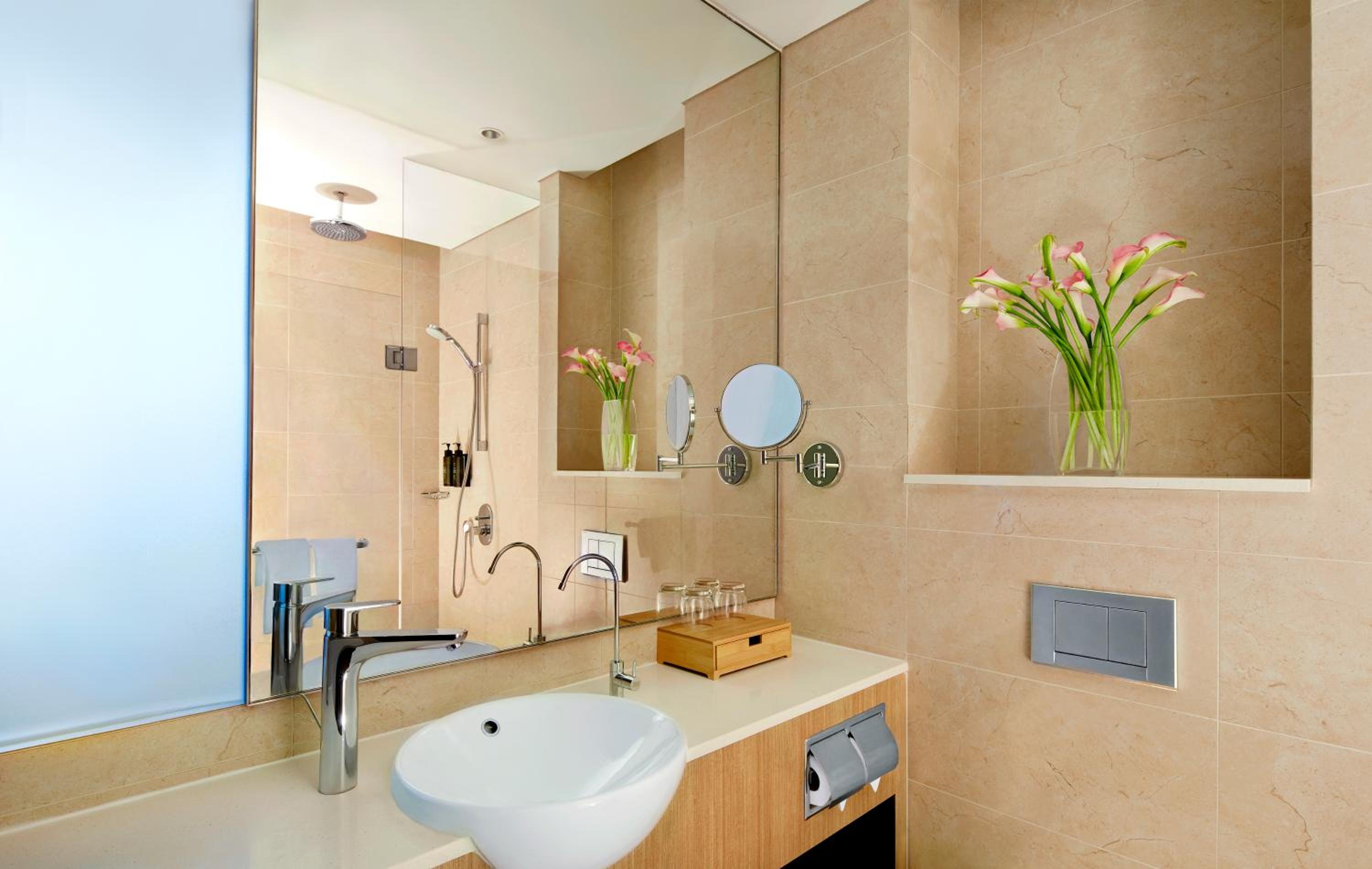 momentus hotel alexandra