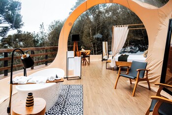 zion bubble glamping