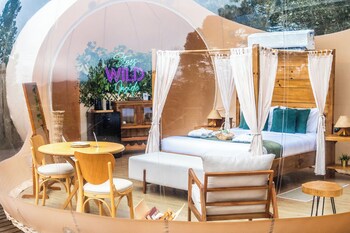 zion bubble glamping