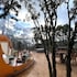 zion bubble glamping