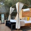 zion bubble glamping