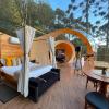 zion bubble glamping