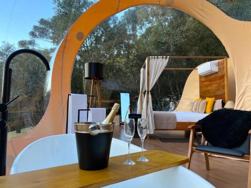 zion bubble glamping
