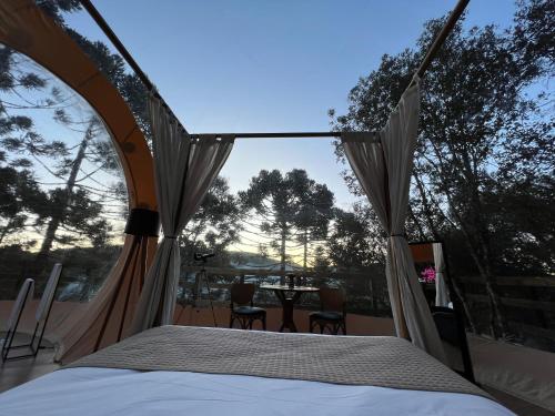 zion bubble glamping