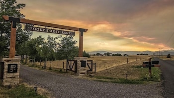 Llama-Stay At Spooky Tooth Ranch – Mtn Views!!