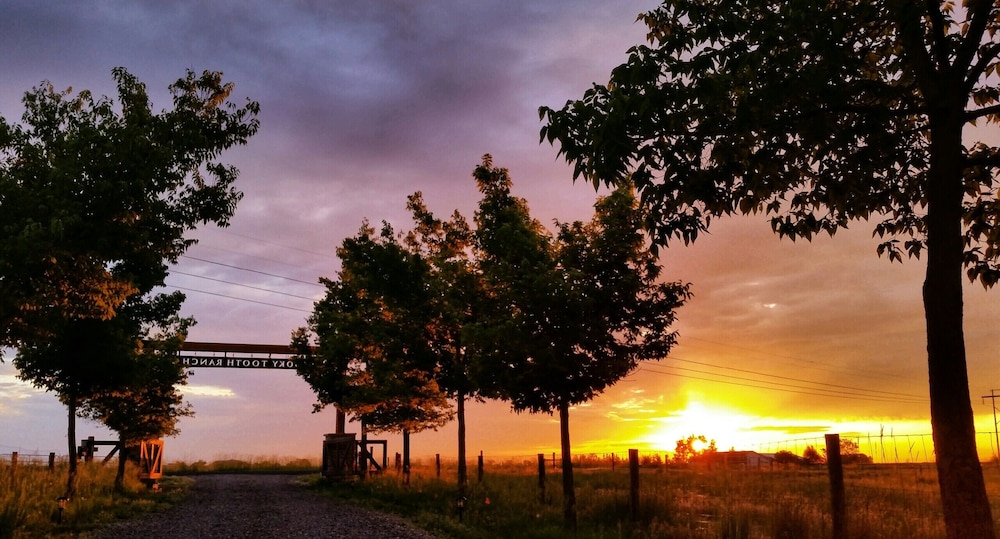llama stay at spooky tooth ranch mtn views