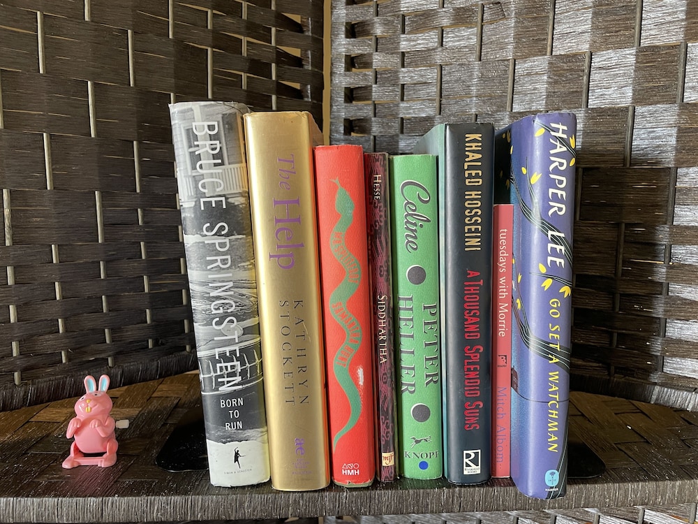 llama stay at spooky tooth ranch mtn views